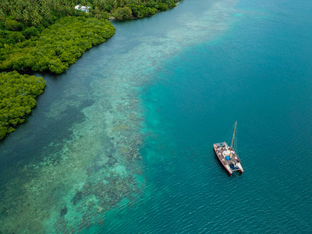 1 ZMT Riffsaum der Insel Maskelyne in Vanuatu CHRISTOPHER MALILI web