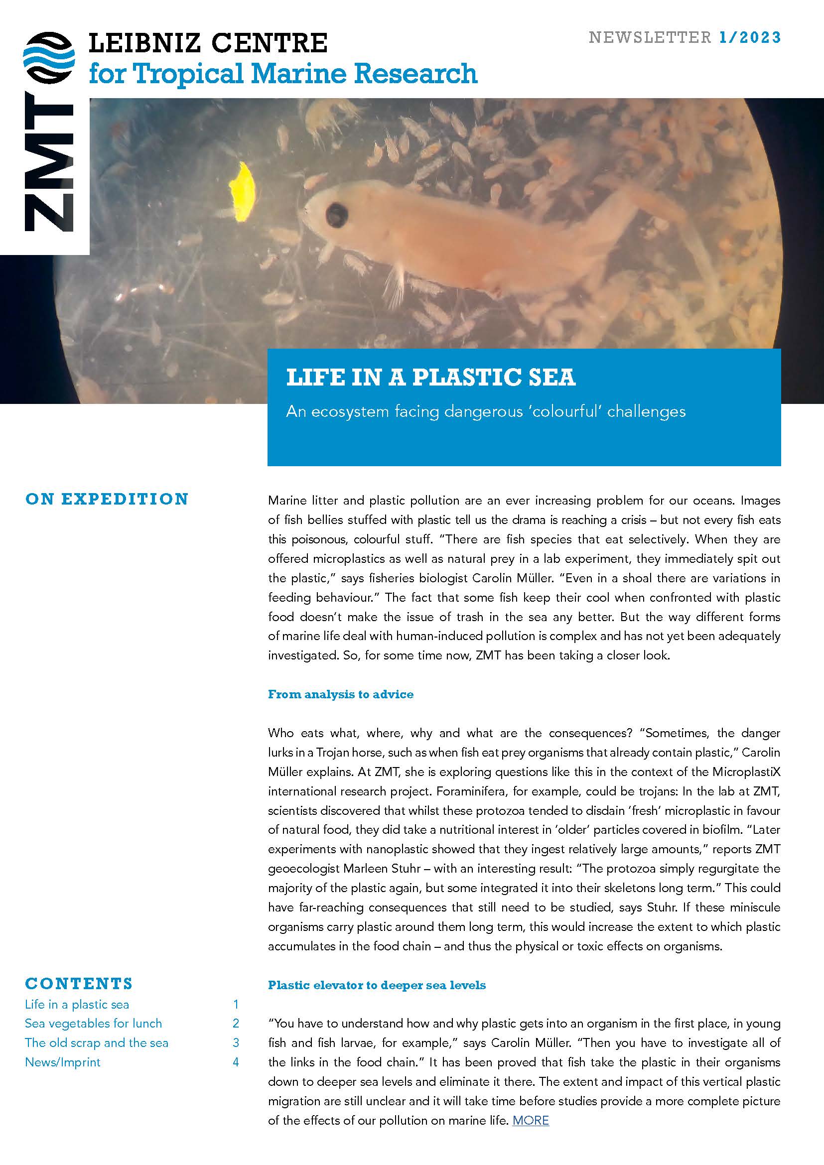 Cover ZMT Newsletter 01 2024