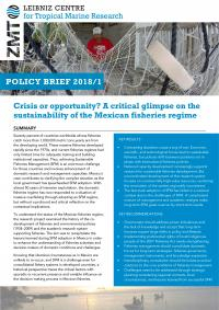 Cover Policy Brief Alejandro Espinoza Tenorio