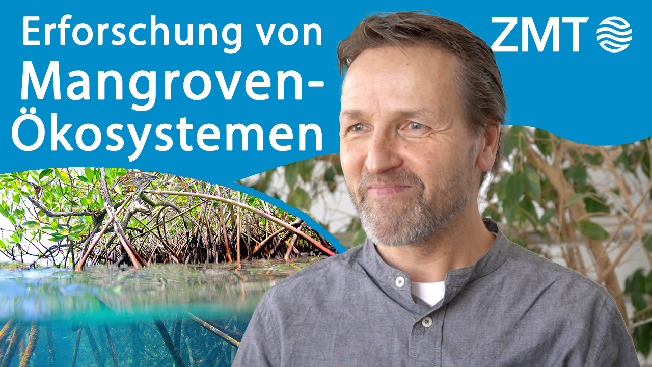 Martin Zimmer -  Link zum Youtube Profil von ZMT