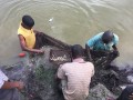 Ministry of Agriculture  Irrigation and Water Development  Department of Fisheries  Mzuzu