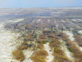 Seagrasses for Life Workshop Znazibar Nov 2019  18 