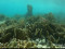 Curacao Expedition Klinke Bejarano May 2022     July 2022  2 