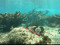 Curacao Expedition Klinke Bejarano May 2022     July 2022  3 