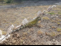 Curacao Expedition Klinke Bejarano May 2022     July 2022  6 