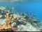 Curacao Expedition Klinke Bejarano May 2022     July 2022  7 