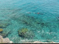 Curacao Expedition Klinke Bejarano May 2022     July 2022  8 