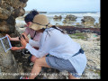 Curacao Expedition Klinke Bejarano May 2022     July 2022  9 