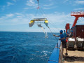 Der Katamaran wird &uuml;ber steuerbord vor der Atlantikk&uuml;ste S&uuml;dafrikas von der FS Meteor zu Wasser gelassen.
