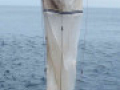 Das Multinet-Maxi kann &uuml;ber die Wassers&auml;ule verteilt in bis zu 9 Tiefenstufen gr&ouml;&szlig;ere Planktonorganismen fangen.