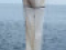 Das Multinet-Maxi kann &uuml;ber die Wassers&auml;ule verteilt in bis zu 9 Tiefenstufen gr&ouml;&szlig;ere Planktonorganismen fangen.
