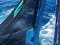 Fang mit dem &sbquo;Rectangular Midwater Trawl&lsquo; .