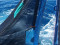 Fang mit dem &sbquo;Rectangular Midwater Trawl&lsquo; .