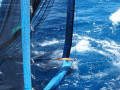 Fang mit dem &sbquo;Rectangular Midwater Trawl&lsquo; 