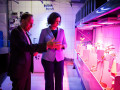 antrittsbesuch senatorin moosdorf   web
