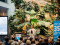 zmt 35 jahre event   ergebnis