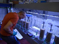 versuche retake maree ag sdg n moosdorf   web