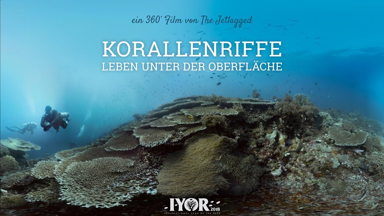 Youtube Vorschau - Video ID _ju5JZiGc9s