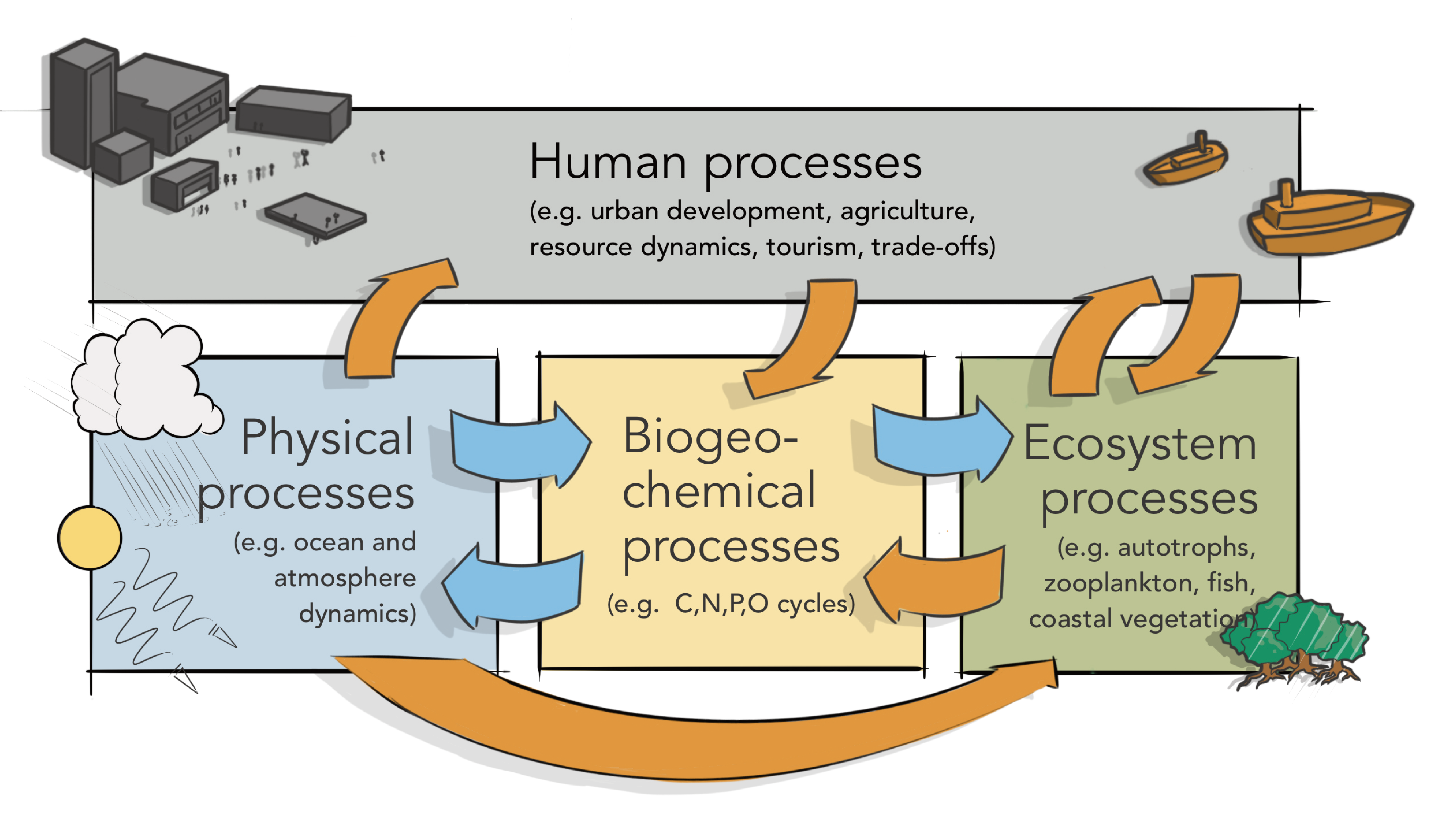 20250905_TropEcS_Processes_cut.png