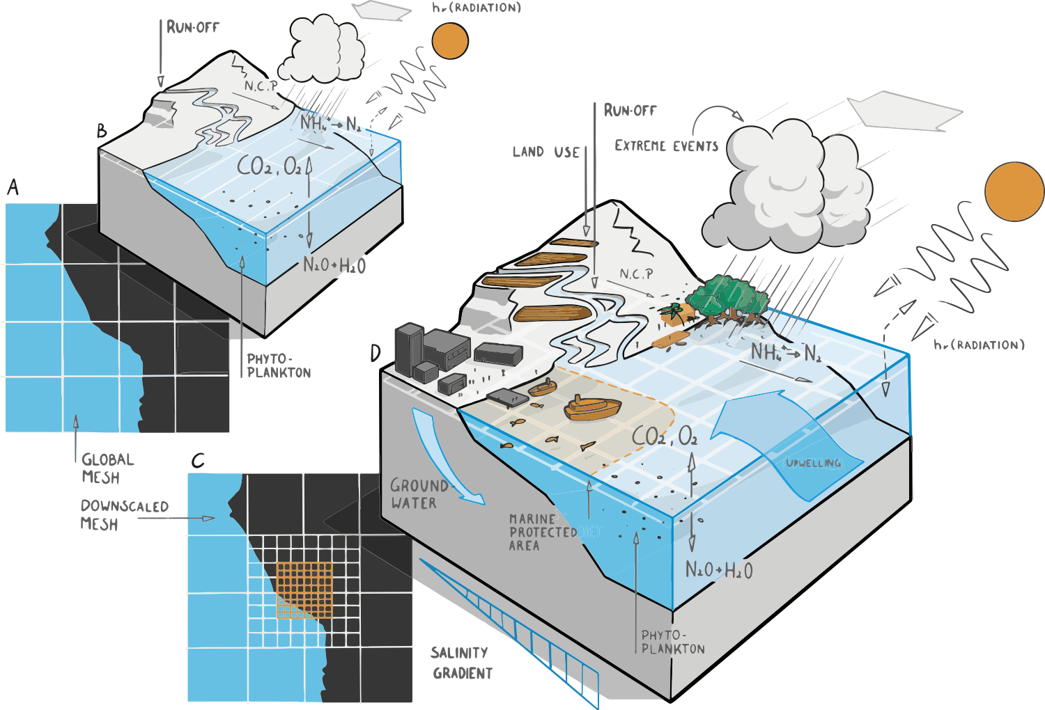 250818_Vector_ZMT_ENG-01.png