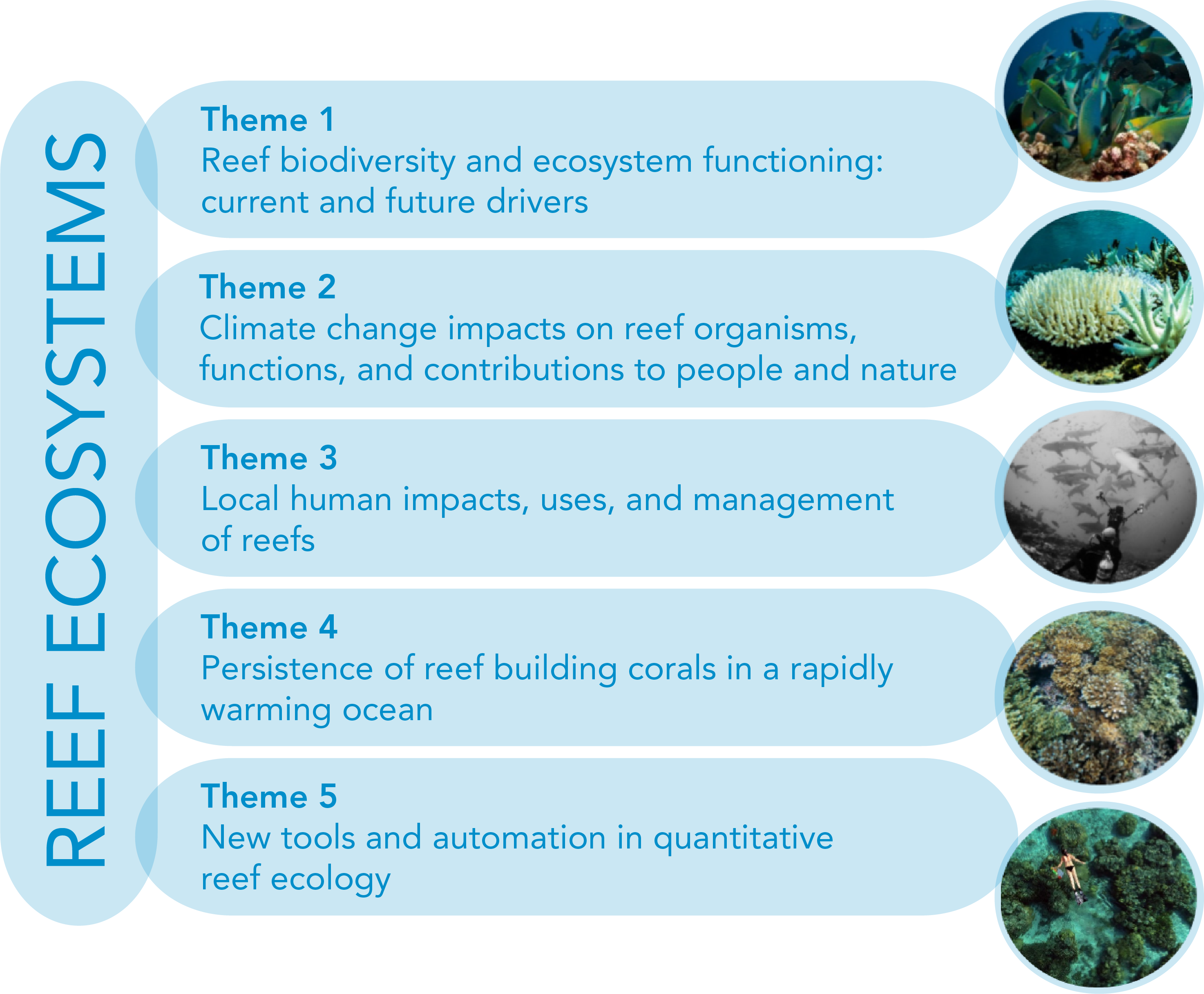 NewReefSystemsFig