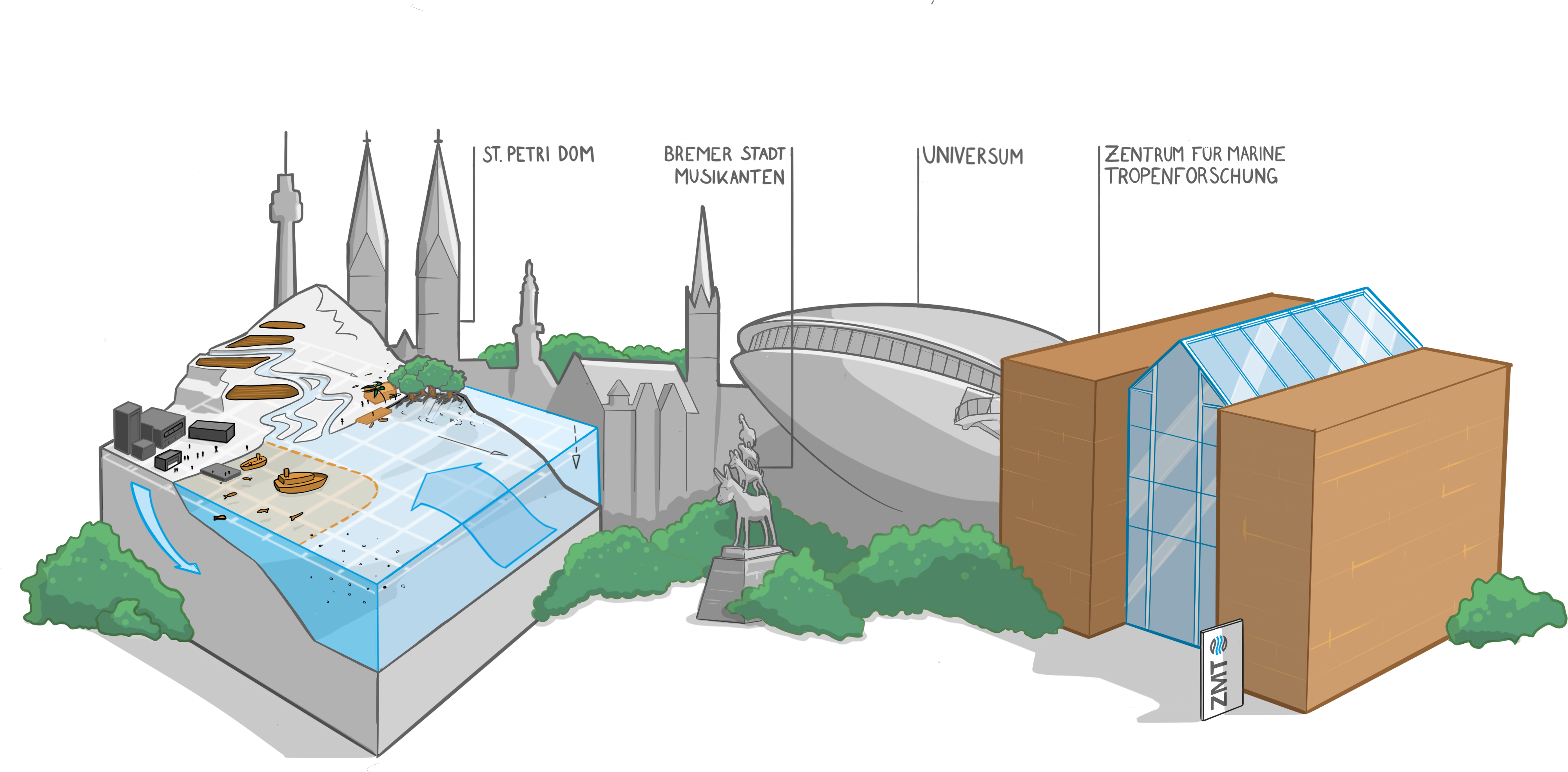 llustration mit Wahrzeichen und wissenschaftlichen Elementen aus Bremen, Deutschland. Links zeigt ein aufgeschnittenes Landschaftsmodell ein Gebirge mit Höhenlinien, Flüsse, Mangroven, Boote an der Küste, Meeresströmungen und Gebäude, die Umwelt- und Meeresforschung symbolisieren. Dahinter stehen stilisierte, graue Umrisse bekannter Bremer Bauwerke: der St. Petri Dom, die Statue der Bremer Stadtmusikanten und das Universum Science Center. Rechts steht ein modernes Gebäude mit Glasfassade und braunen Seitenwänden, beschriftet mit „Leibniz-Zentrum für Marine Tropenforschung“ und einem Schild mit „ZMT“-Logo. Umgeben ist die Szene von vereinfachten Bäumen und Landschaftselementen.