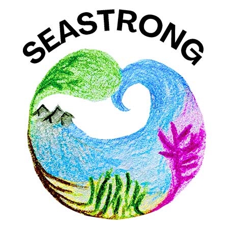 SEASTRONG: Uni Bremen und das ZMT koordinieren internationales Forschungsprojekt in drei Weltmeeren