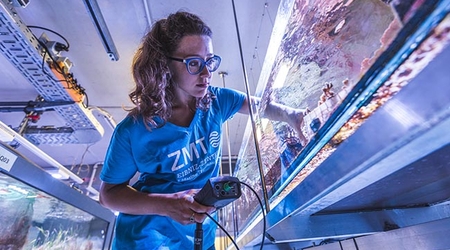 MAREE (Marine Experimentelle Ökologie)