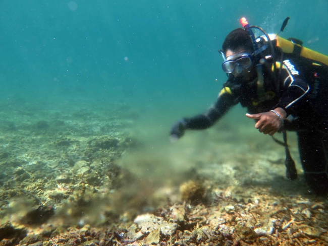 Grundwasserquelle vor Lombok |  Foto: Imke Podbielski